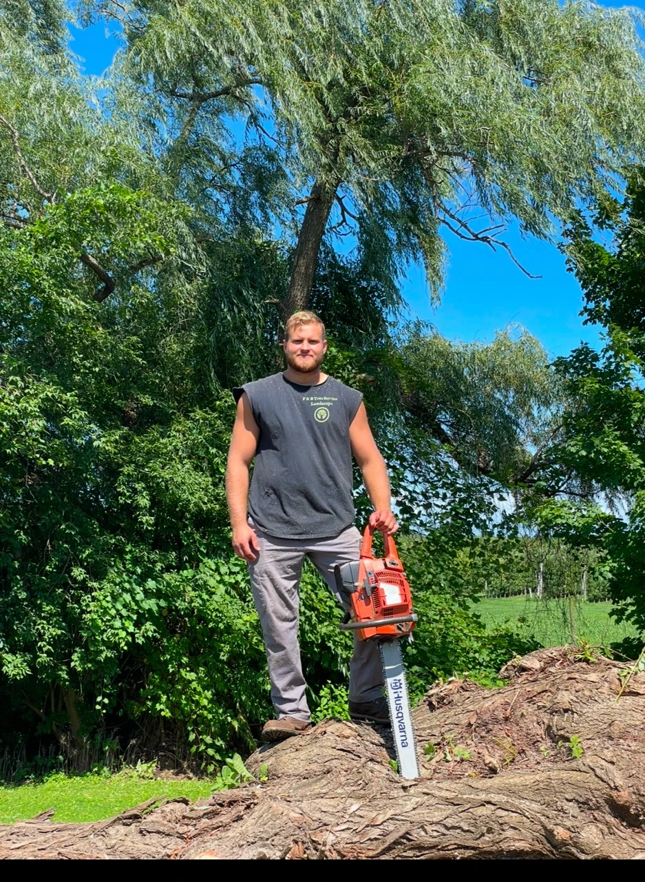 Jake Pylyuk, owner of F&B Tree & Landscape, standing on a felled willow trunk with his Husqvarna chainsaw