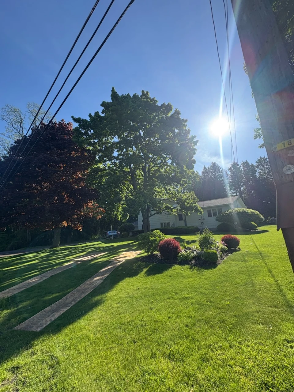 Trimmed shrub beds and a clean stone walkway across a sunny front lawn